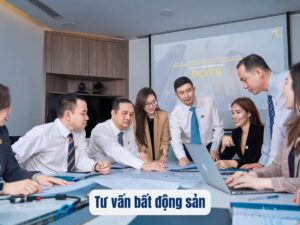 quy trình tư vấn bất động sản