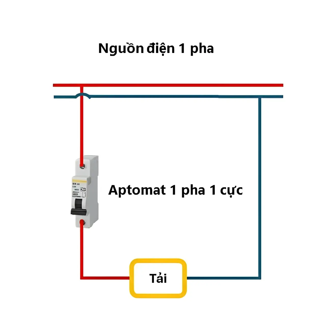 cách lắp đặt aptomat