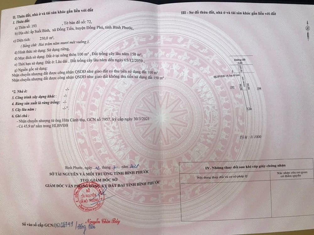 sổ hồng chung cư