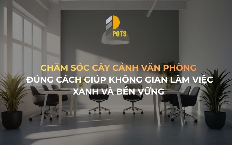 Chăm Sóc Cây Cảnh Văn Phòng Đúng Cách Giúp Không Gian Làm Việc Xanh Và Bền Vững 1 Chăm sóc cây cảnh văn phòng